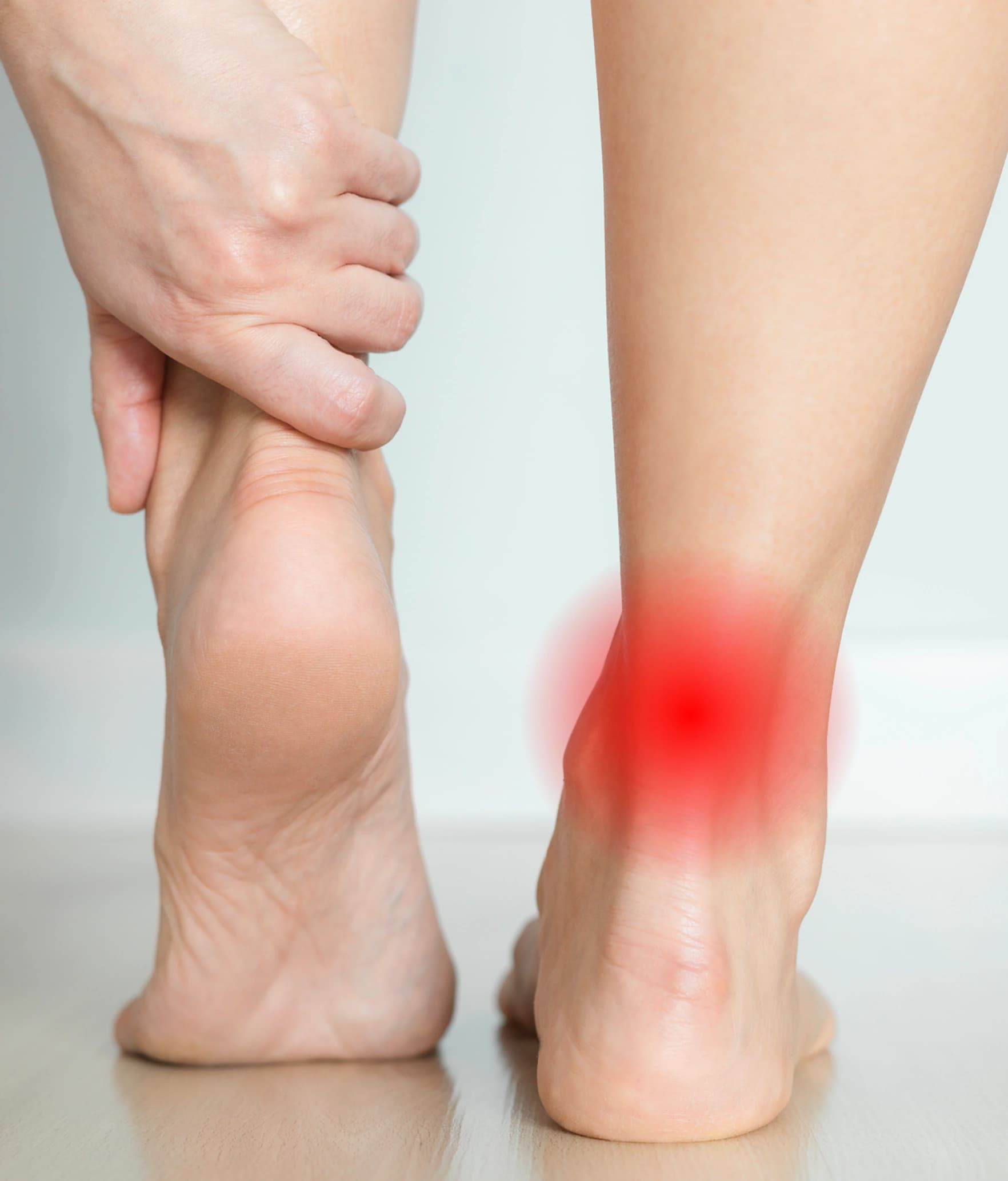 The Achilles tendon at the back of the heel highlighted