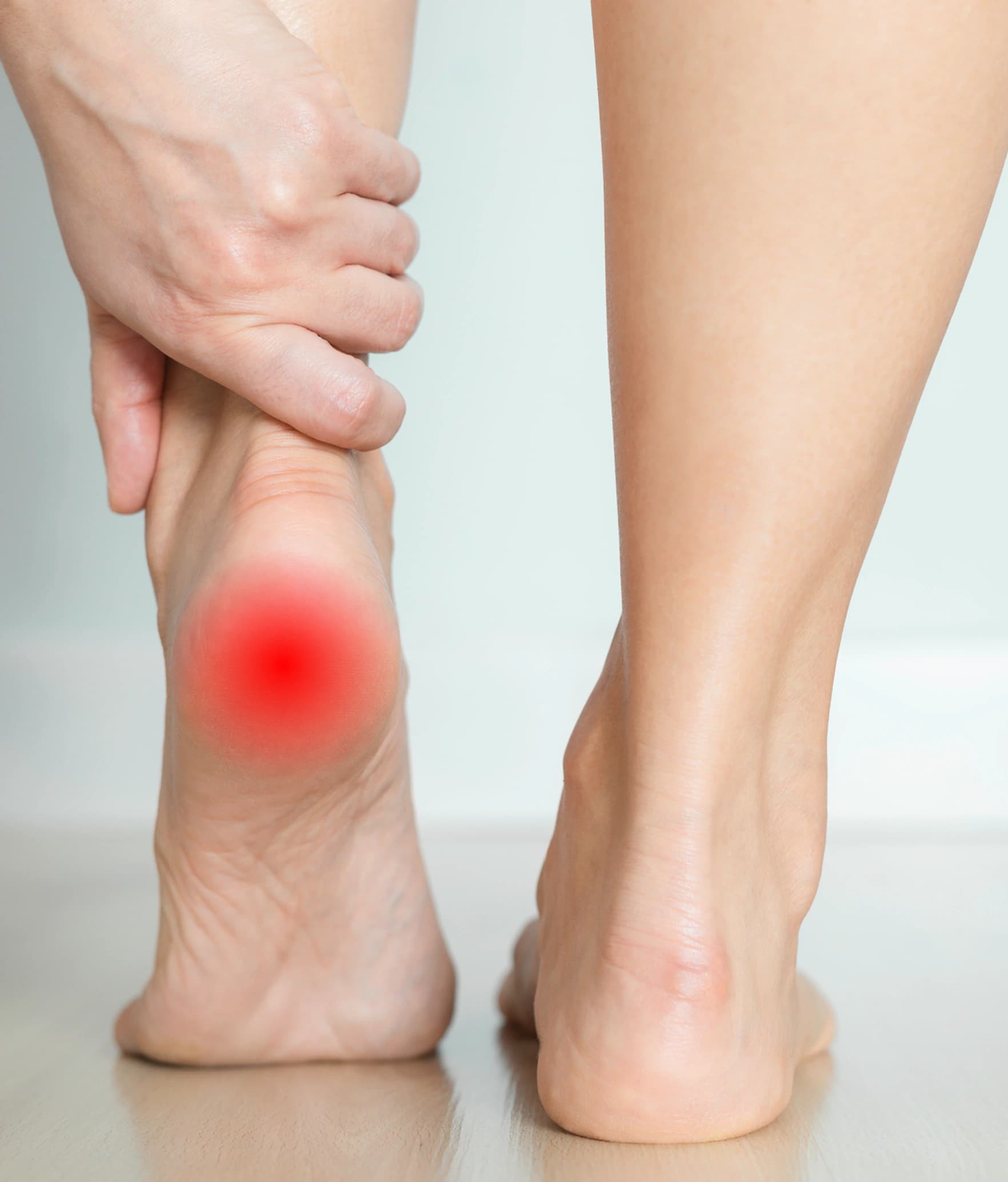 The heel highlighted to show where heel pain is typically felt